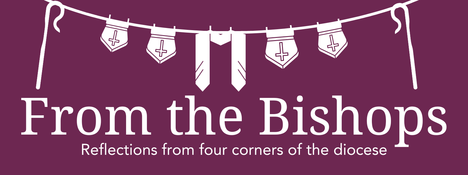 From the Bishops banner - four mitres and a stole hang on a washing line. Text reads "From the bishops - reflections from the four corners of the diocese"