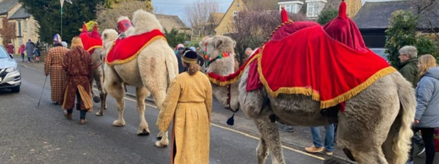 Camels parade down an English street