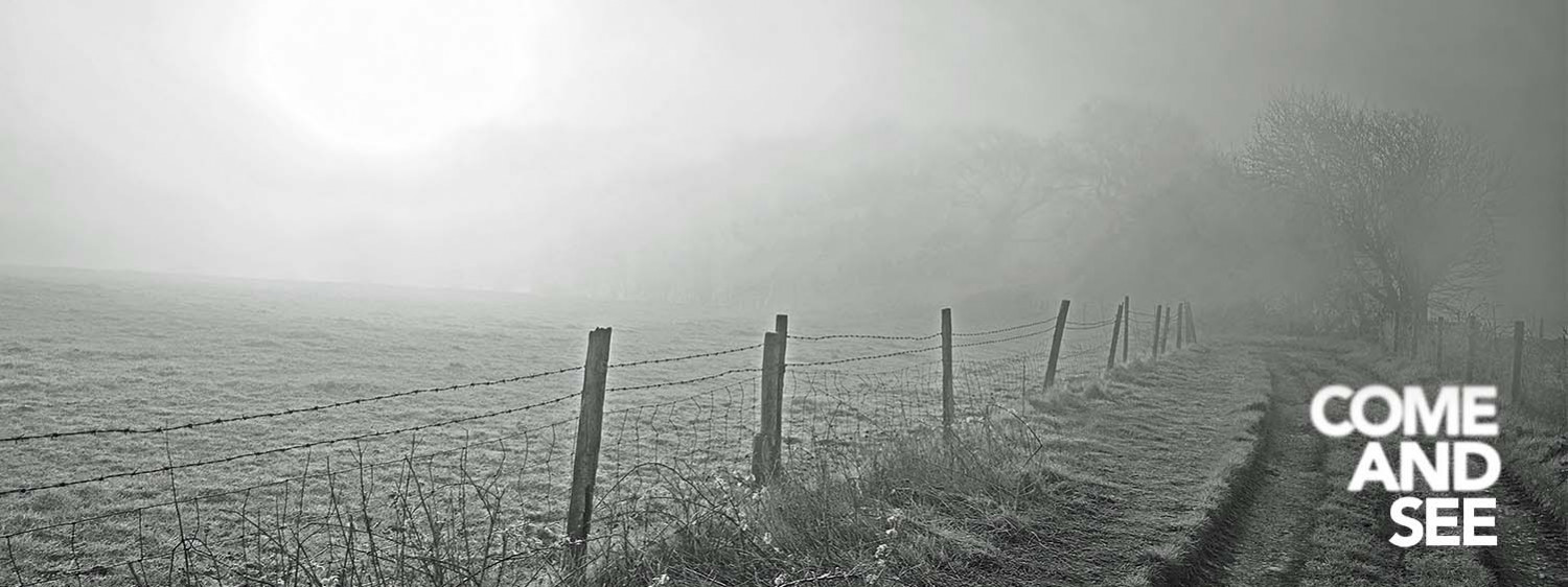 Misty track. Come and See logo comes into focus