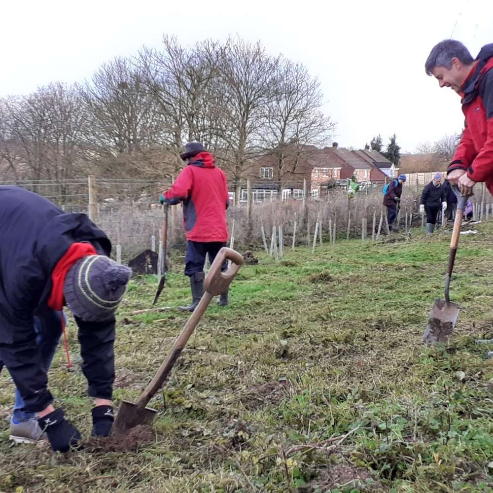 People wearing red coats digging holes to plant trees in grass field