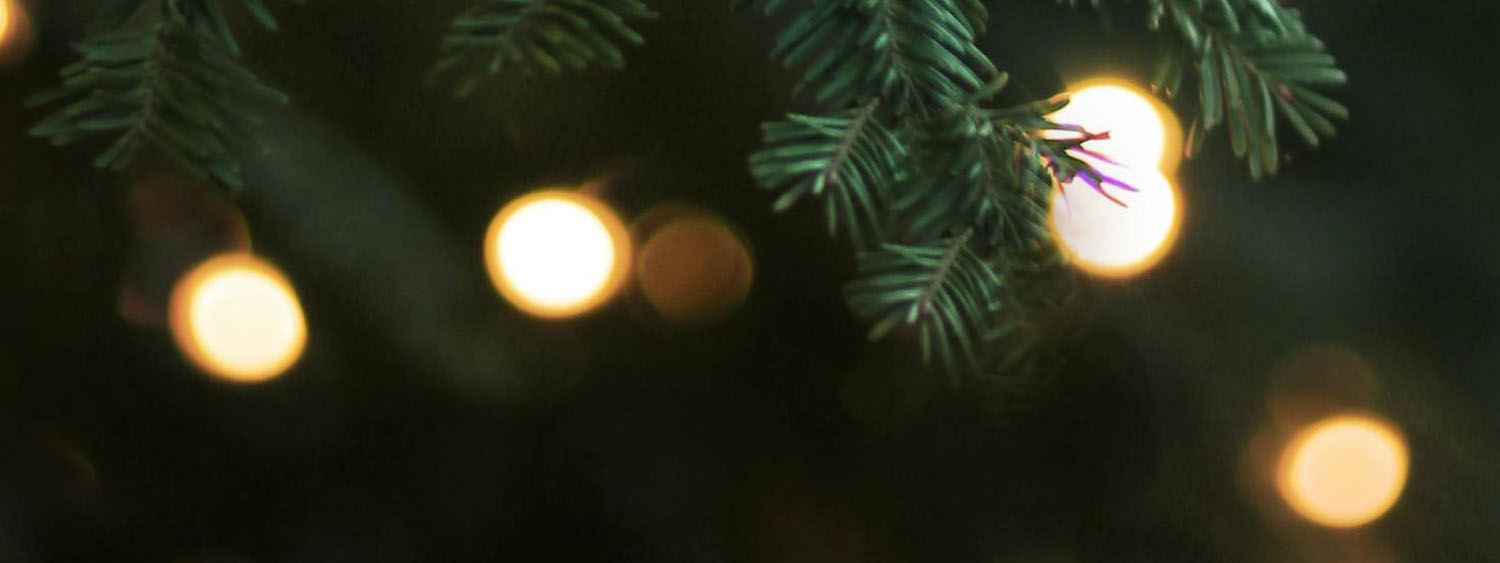 A photo of a Christmas tree branch in front of blurred lights
