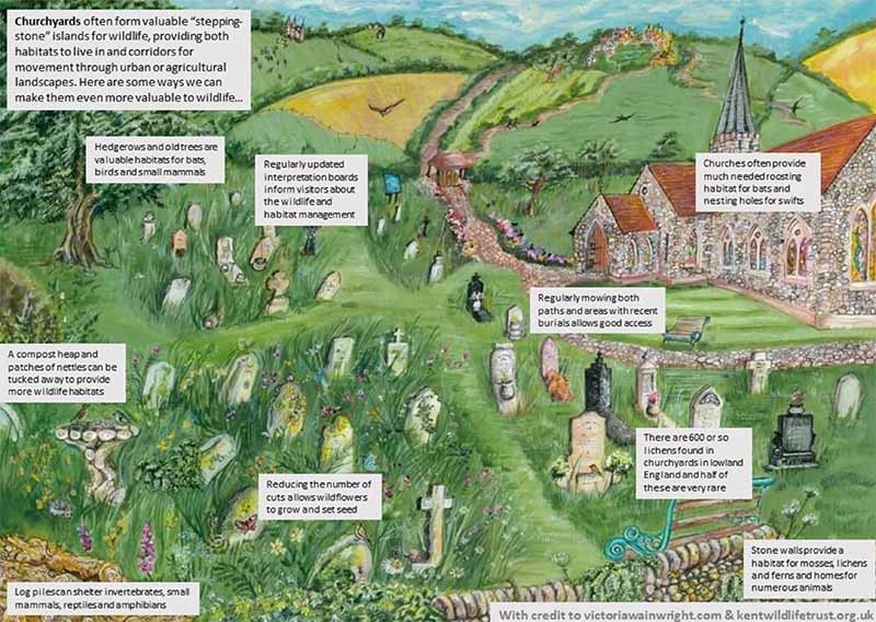 Illustration of a churchyard