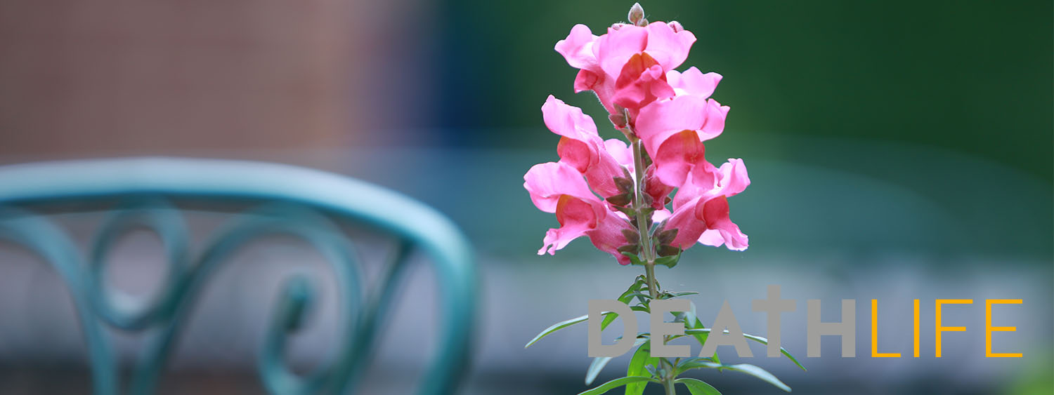 Abstract image with a flower in foreground, chair in background.