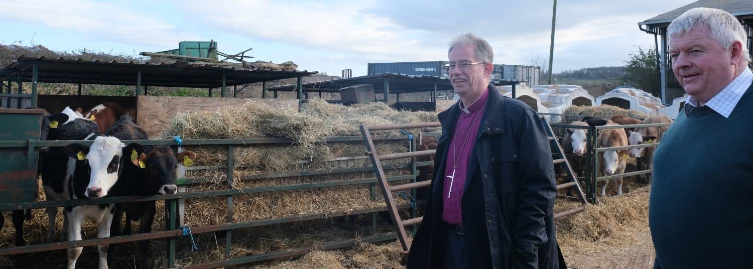 Bishop Steven and farmer Miles standing next to a pen with young calves and hay.
