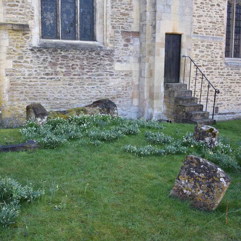 Iffley grass churchyard with white snowdrops growing in front of the church building