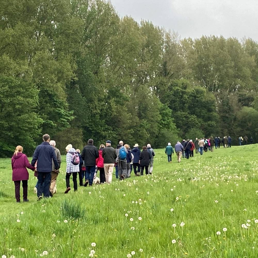 large group of people walking through field with large trees in the background