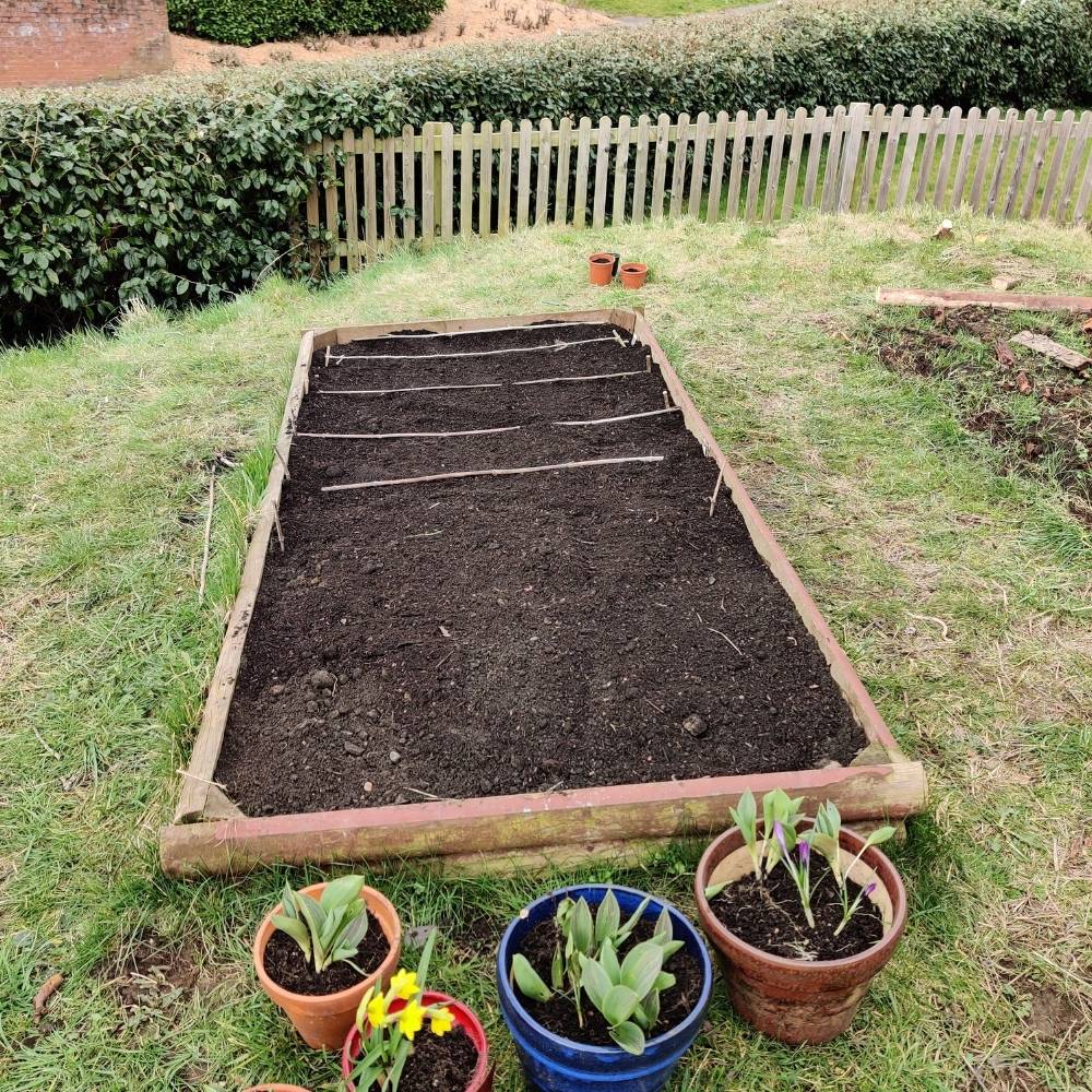 Large Vegetable patch in wooden box with plant pots at the bottom.