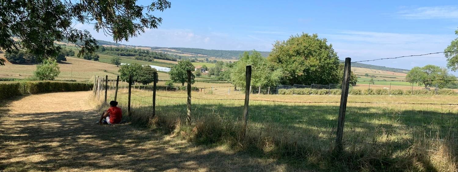 Field at Taize