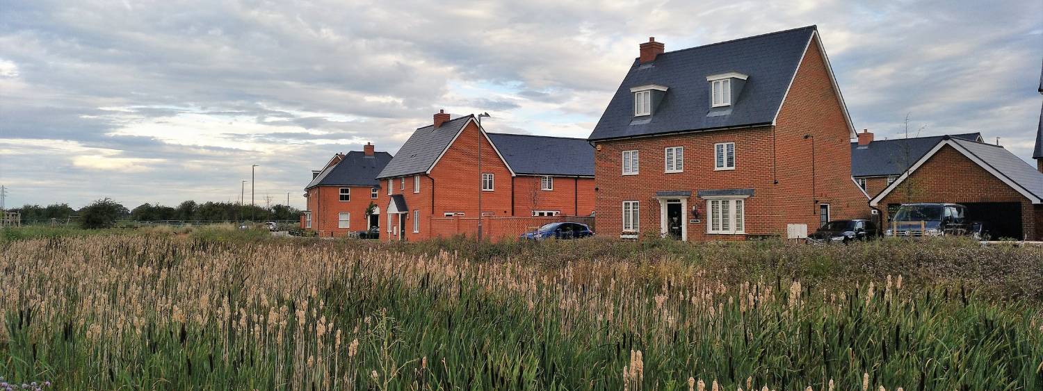 New housing development in the background with overgrown grass in the foreground