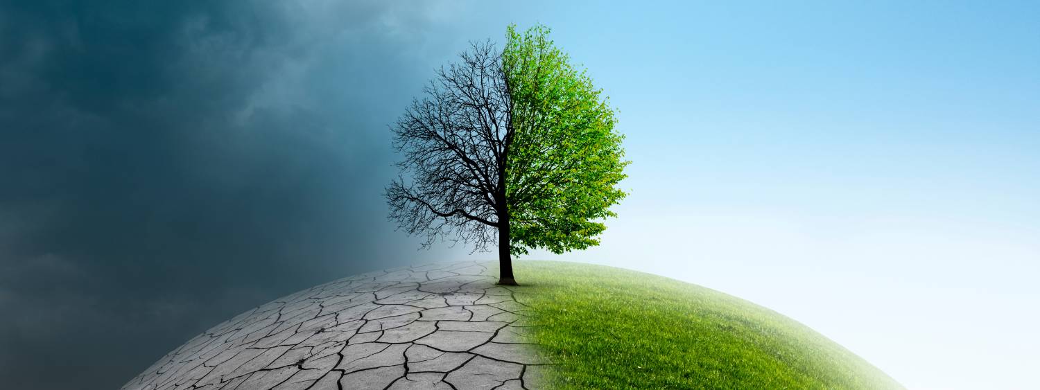 Tree with half bare branches and half green growing from an earth shaped ground with half grass and half dry cracked ground.