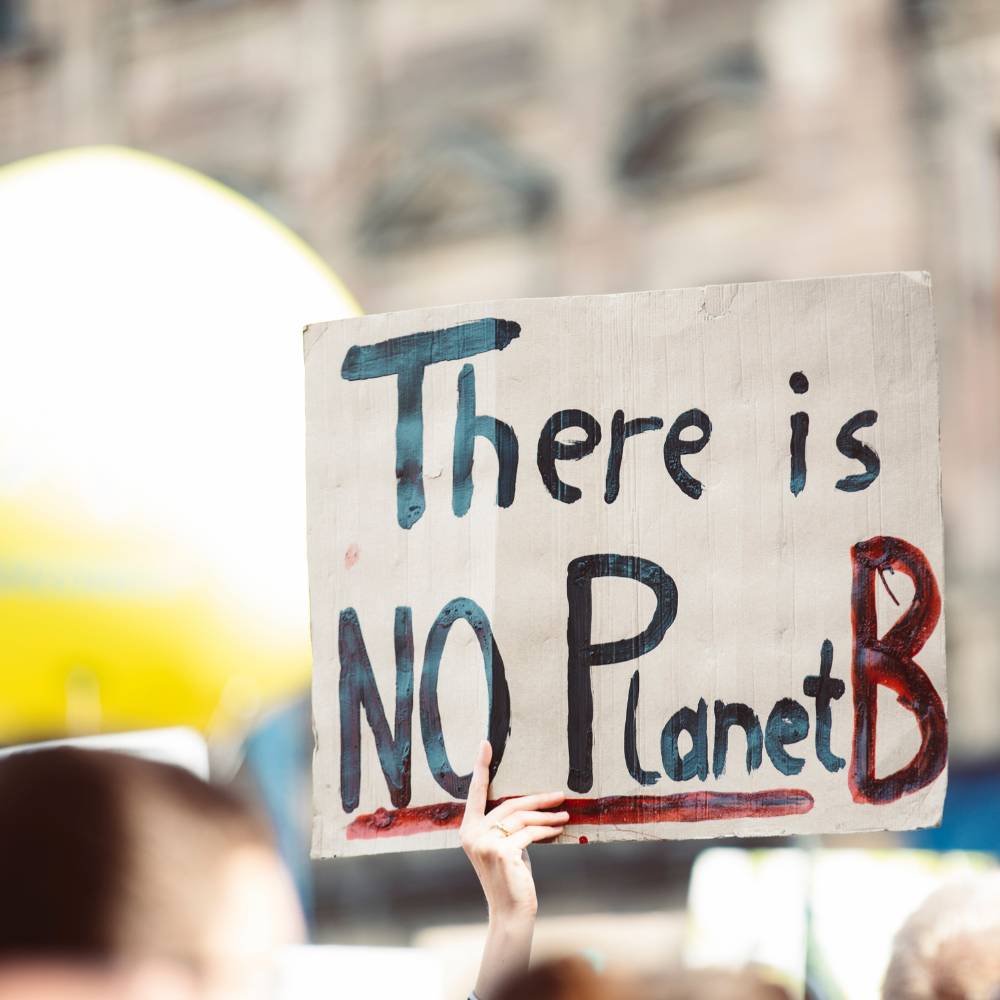 Handmade cardboard sign reading "There is no Planet B" held in the air by a hand during Climate Protest