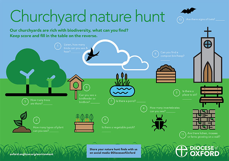 Churchyard nature hunt illustration. Click the image to see the PDF.