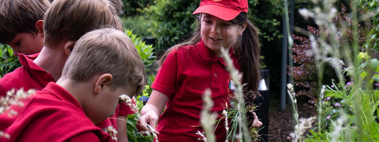 School children gather in a garden, talking about the various plants