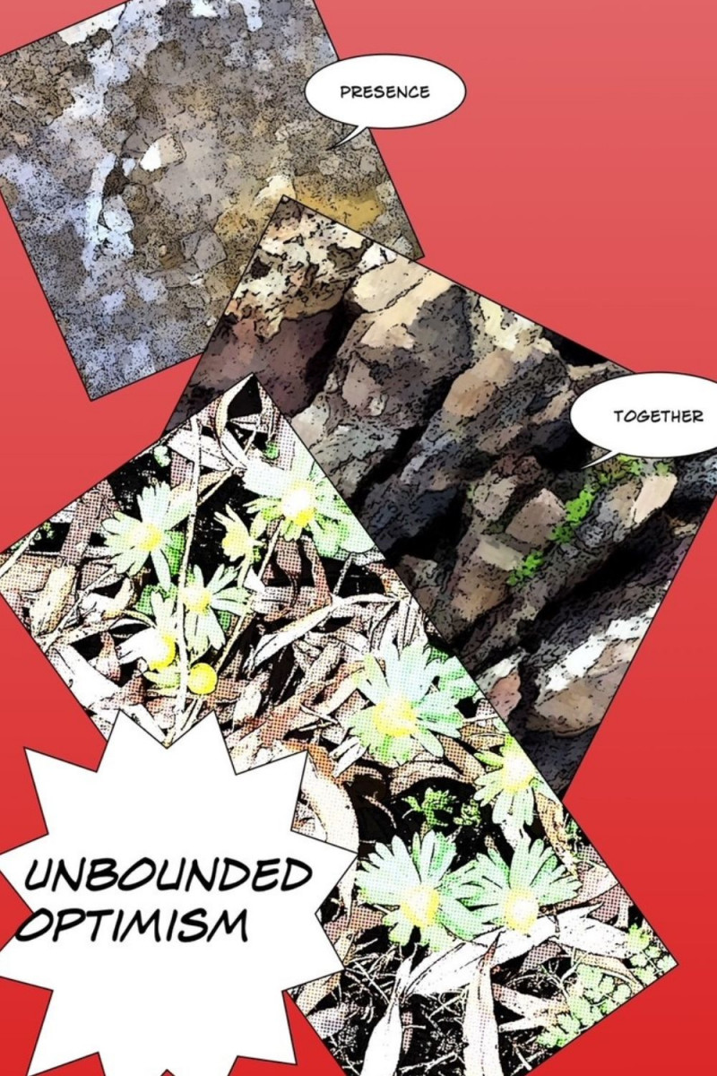 Triptych style art, three images of nature in comic style effect, text reads "presence, together, unbounded optimism".