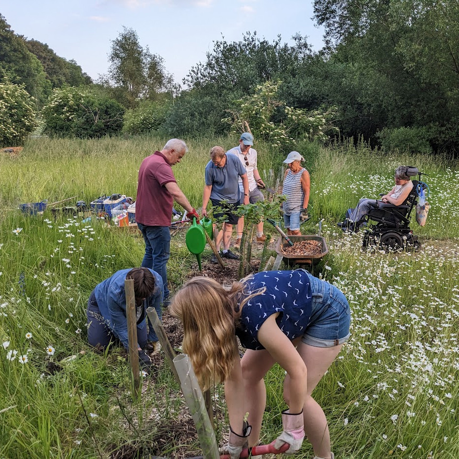Group of adults and children digging and working in a churchyard wildflower, planting trees.meadow.