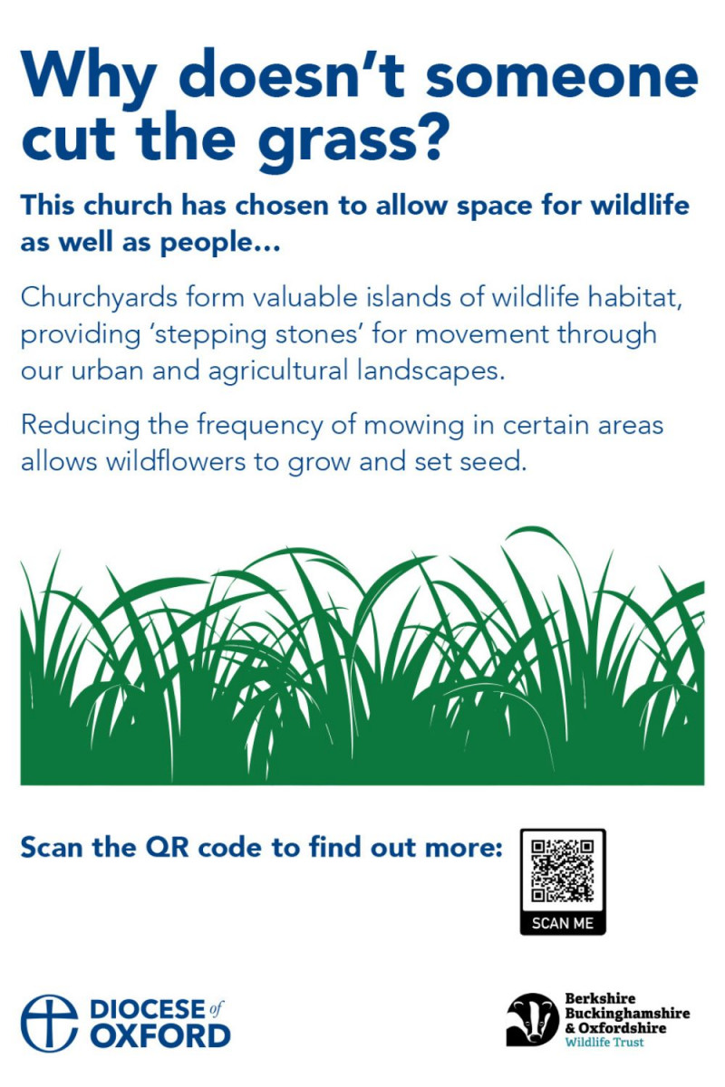 Poster with long grass graphic, title reads 